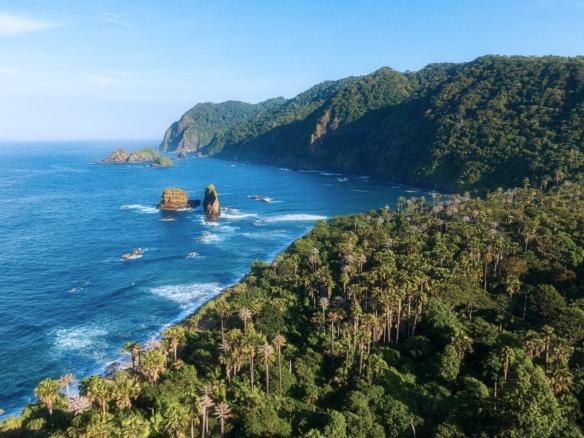 Rainforest-covered coastline along Costa Rica's Pacific Ocean.