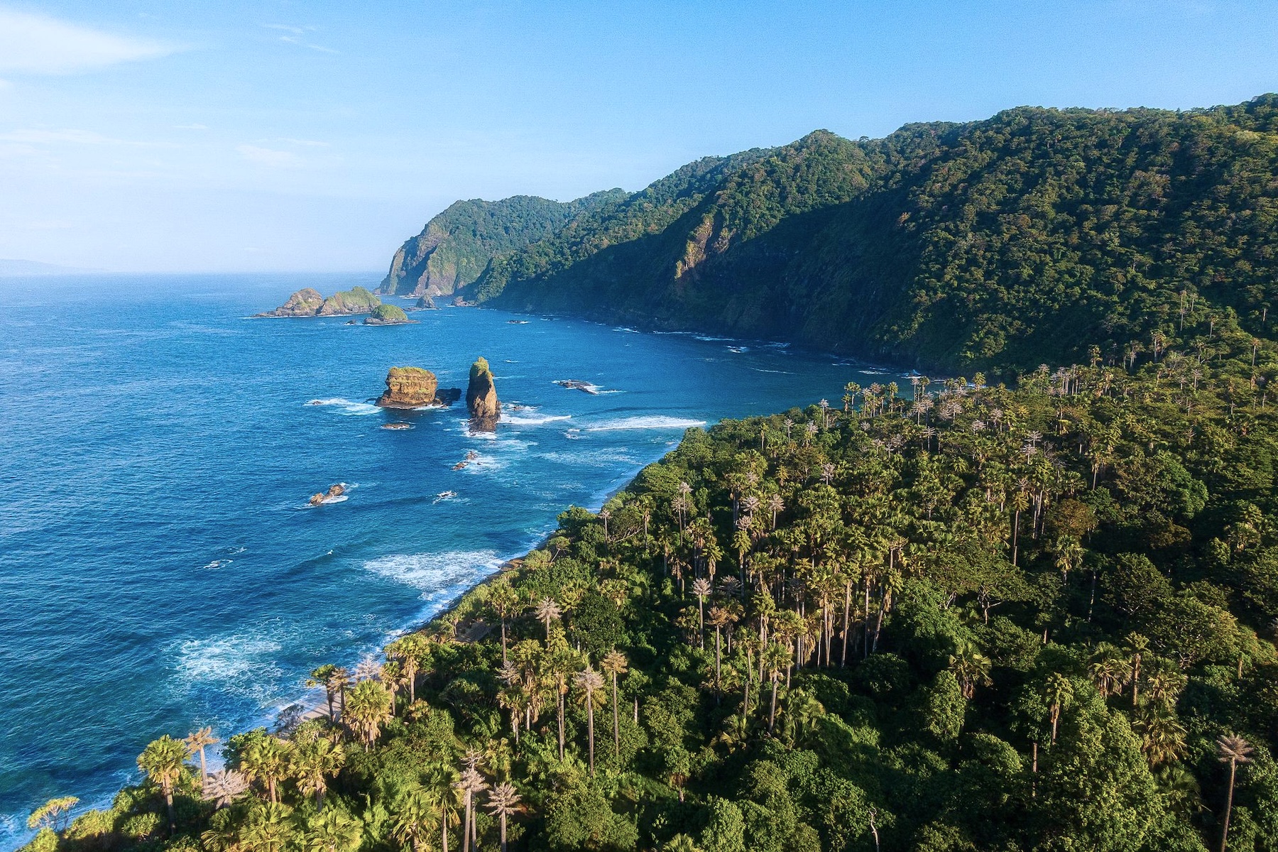 Rainforest-covered coastline along Costa Rica's Pacific Ocean.