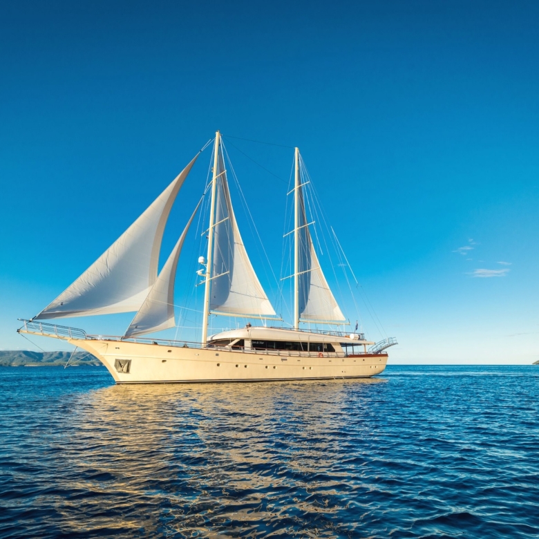 Sailing Yacht or Motor Yacht?