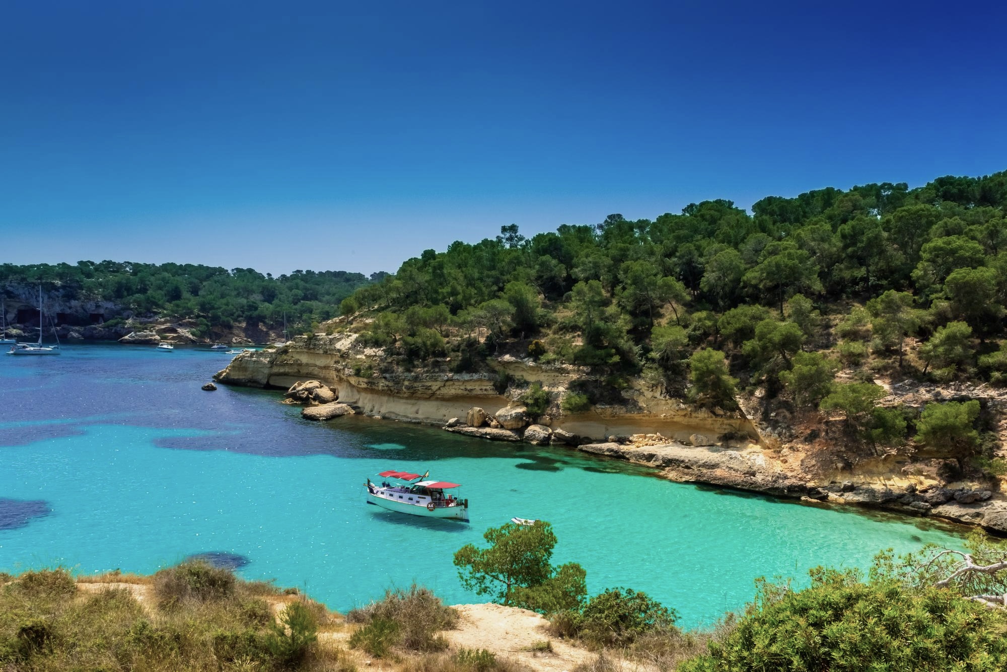 Sheltered cove in Mallorca with turquoise Mediterranean water and pine-covered coastline