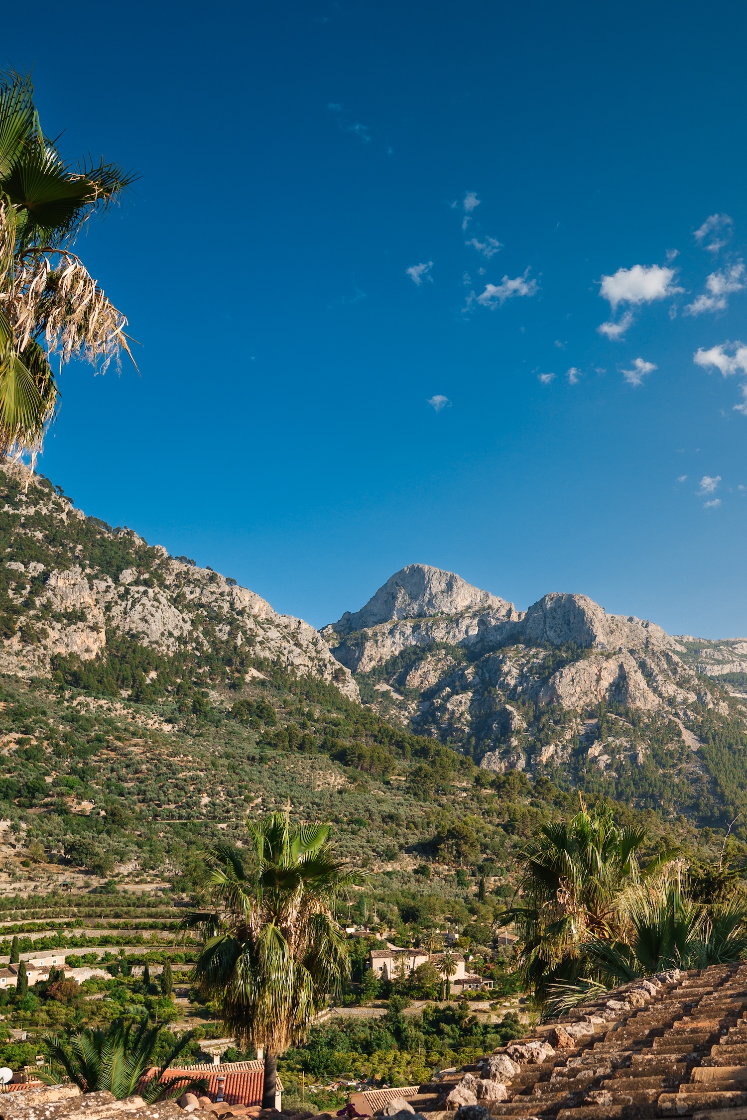 Serra de Tramuntana mountain landscape and Mediterranean countryside in Mallorca