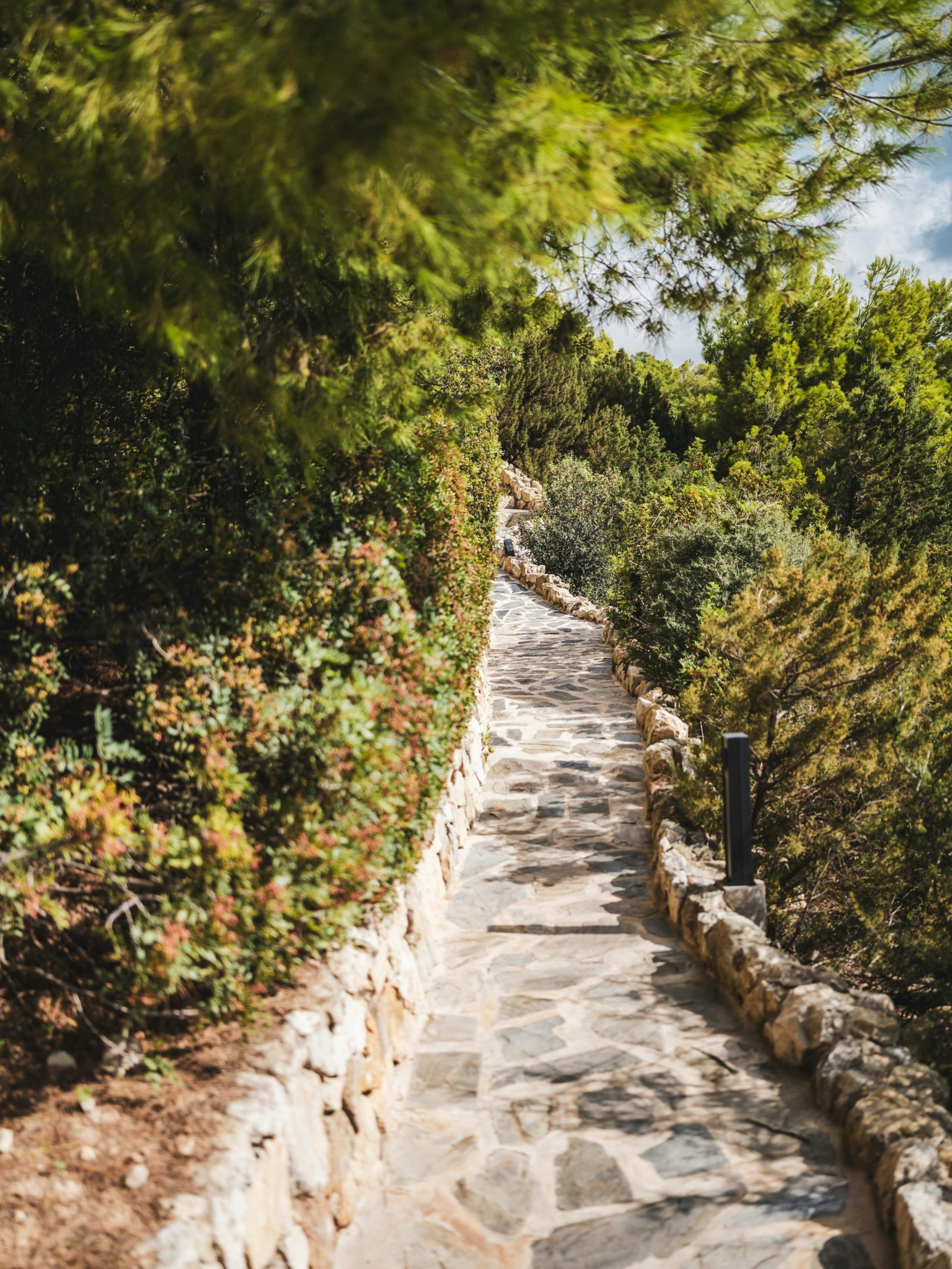 Stone pathway bordered by low stone walls, pine trees, and Mediterranean planting at Ocean Paradise Ibiza